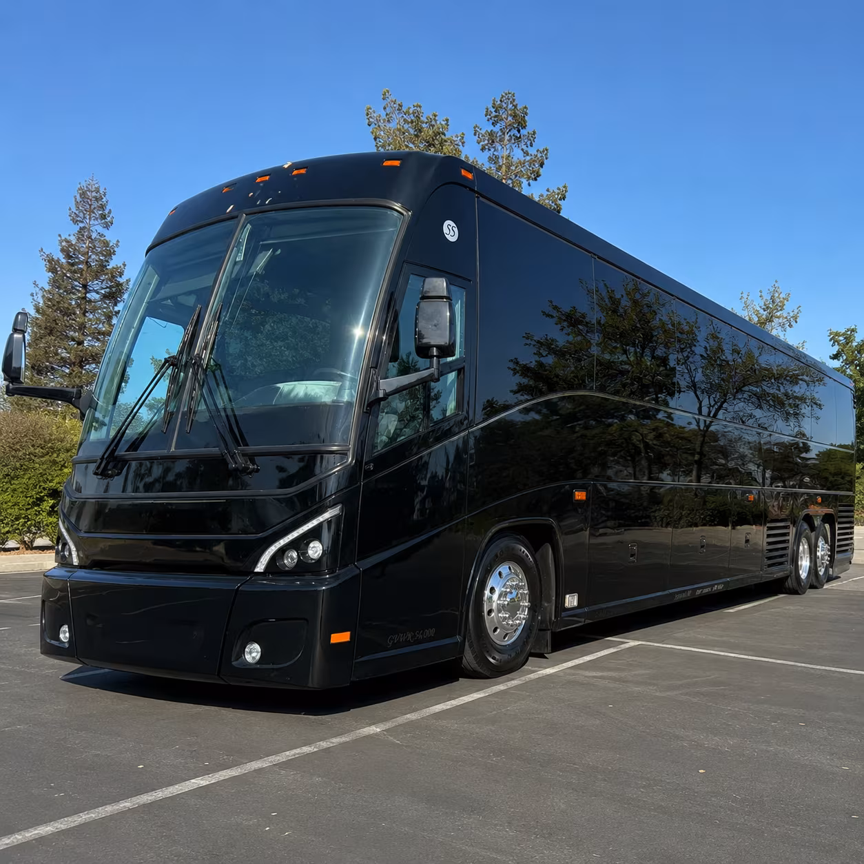 sunrise groups have a direct gateway to the entire state and sunrisecharterbuscompany com makes getting there easy